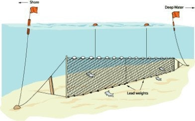 Fanyalı Profesyonel Turna Ağı 100 Metre 0,23 mm Misina